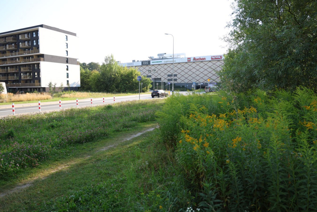 "Bonarka w Krakowie"