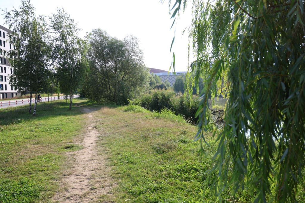 "Bonarka w Krakowie"