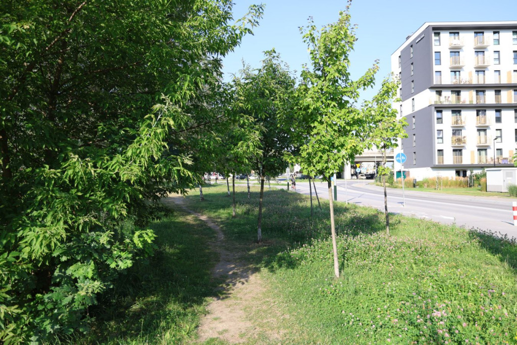 "Bonarka w Krakowie"