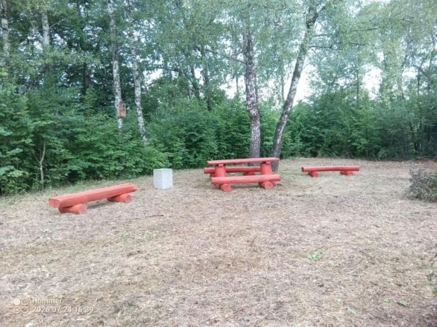 Nowy Sącz ma kolejny park kieszonkowy. Zielona przestrzeń powstała na Falkowej