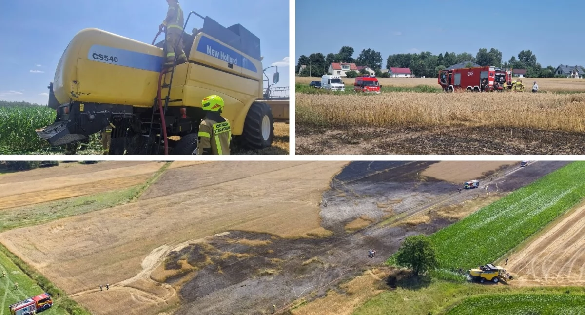 Od pożaru kombajnu zajęło się pole ze zbożem