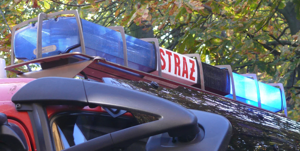 Od ratowania ptaka po walkę z ogniem. Tak wyglądało sobotnie popołudnie strażaków w Łowiczu