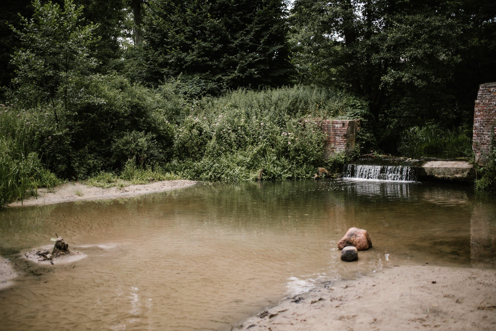 Odkryj najpiękniejszą dziką plażę w Wielkopolsce. Znałeś to miejsce wcześniej?