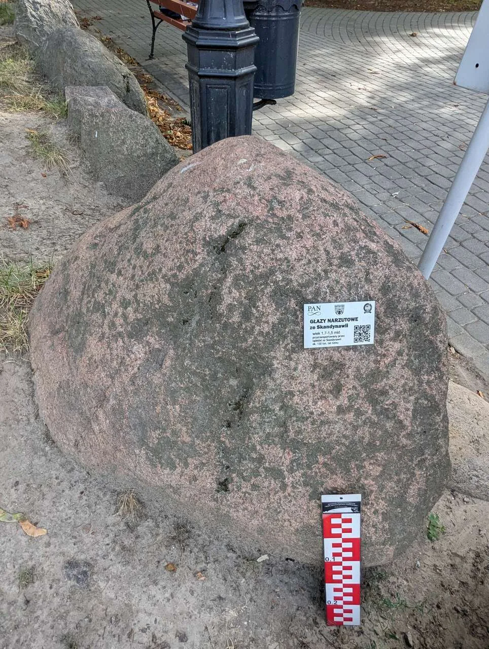 Odkryj sekrety epoki lodowcowej w Pruszkowie!