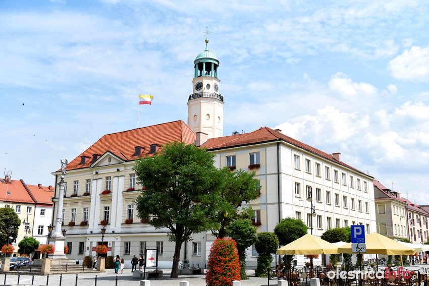 Odpady z ROD nie do miejskiego PSZOK-u. Miasto odpowiada na zarzuty działkowców