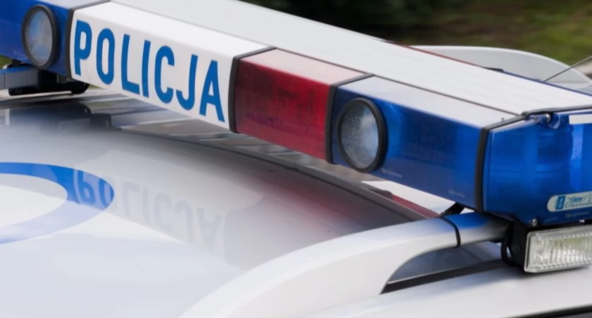 Odpowie za znieważenie policjanta