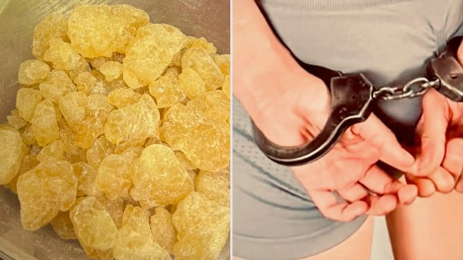 Odwiedzili ogródki działkowe. Znaleźli blisko 250 gramów narkotyków