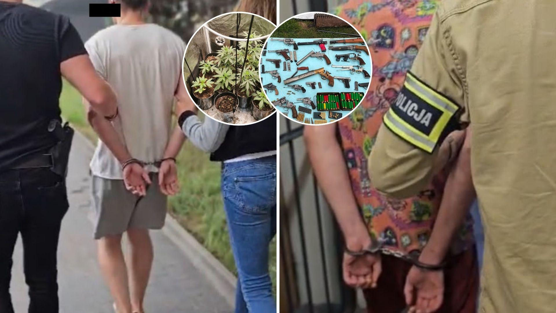 Ojciec miał arsenał, synowie plantację marihuany. Wpadli przez intensywny zapach w domu!