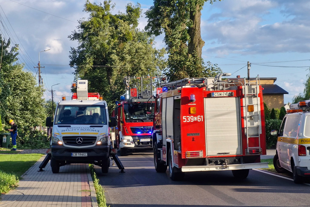 Opadający konar zerwał linię energetyczną