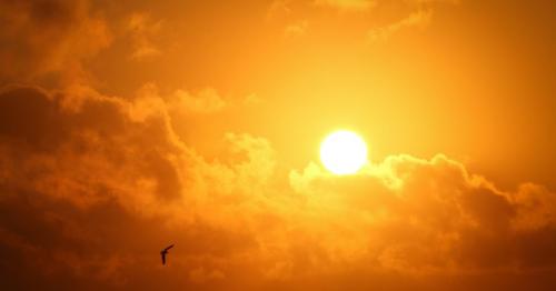 Ostrzeżenie meteorologiczne - Upał pierwszego stopnia