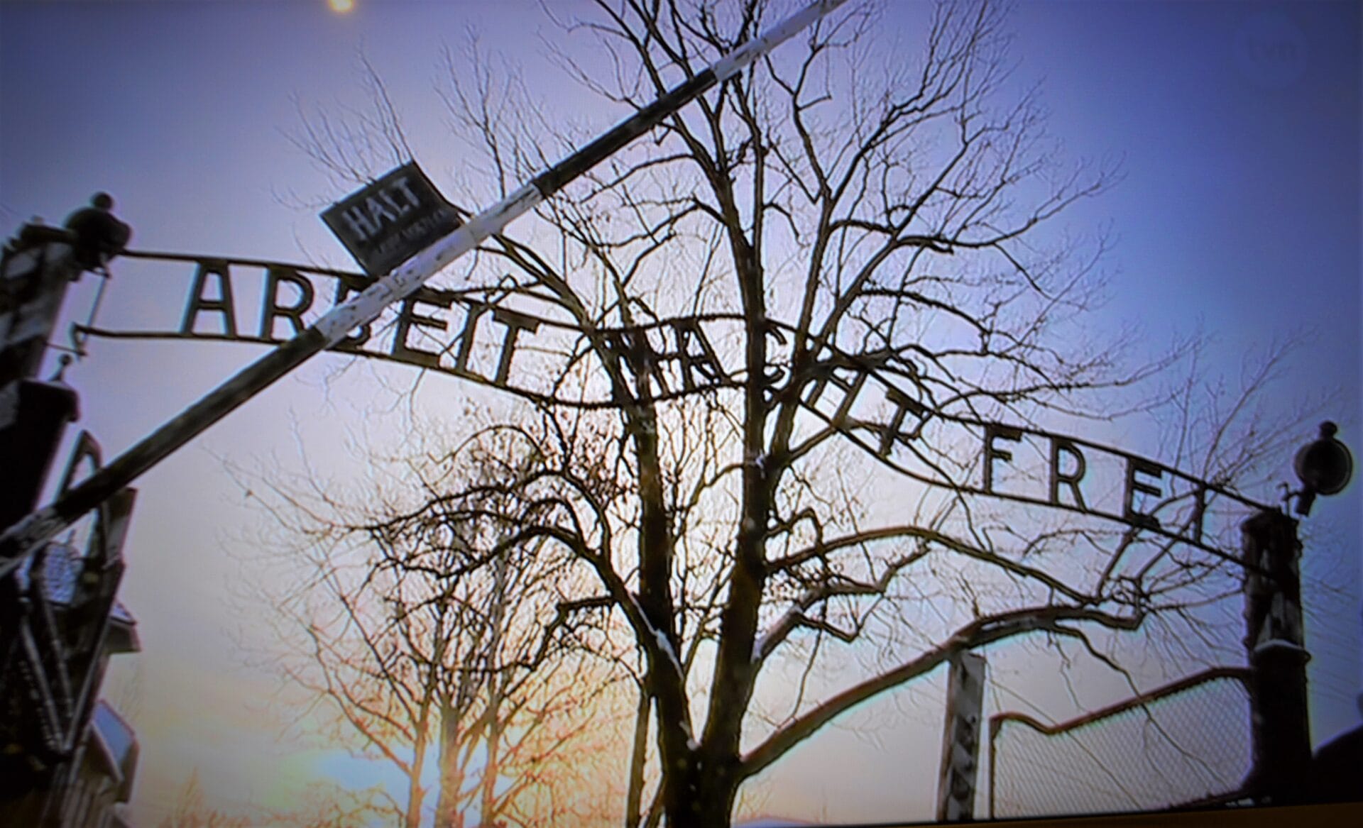 Oświęcim. Obywatel Kolumbii usłyszał zarzut propagowania nazizmu w Muzeum Auschwitz-Birkenau