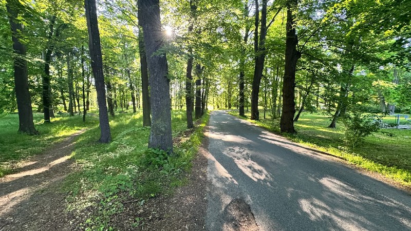 Park im. Gabriela Narutowicza w Opolnie-Zdroju z nowym obliczem. Znamy wykonawcę prac