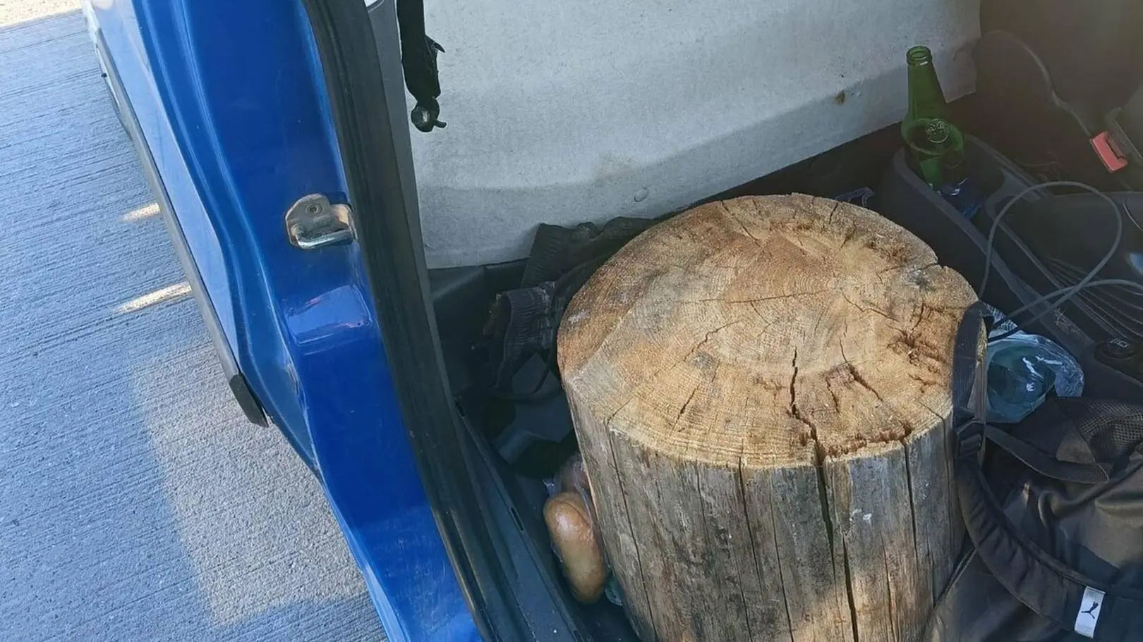 Pasażer auta zamiast na fotelu siedział na pniu drzewa