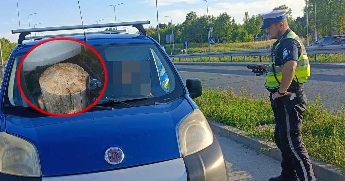 Pasażer siedział na… pniu drzewa. Nietypowa kontrola drogowa na ul. Wojska Polskiego