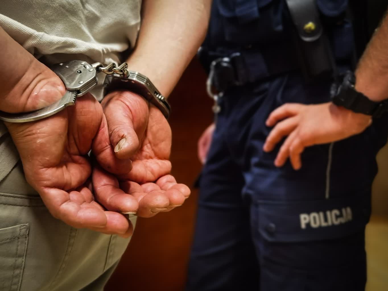 Pięć osób zatrzymanych. Odpowiedzą za rozpowszechnianie pornografii dziecięcej