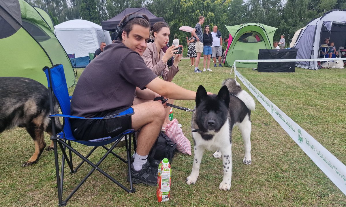 Pierwszy dzień Krajowej Wystawy Psów