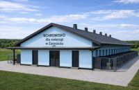 Pieskie życie zmieni się na lepsze. W schronisku powstanie nowy pawilon