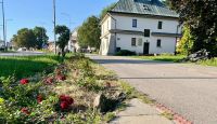 Pijany wandal zniszczył róże przy ul. Piłsudskiego