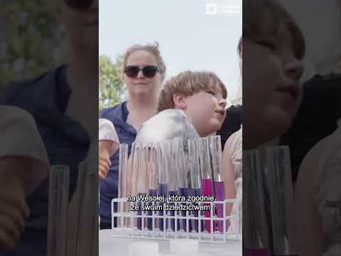 Pikniki na łące na Wesołej