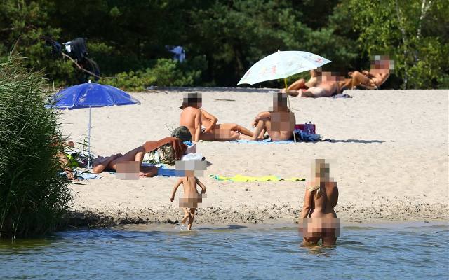 Plaża nudystów nad Zalewem Sulejowskim. Dzika plaża naturystów w Swolszewicach nad Zalewem Sulejowskim robi się bardzo popularna