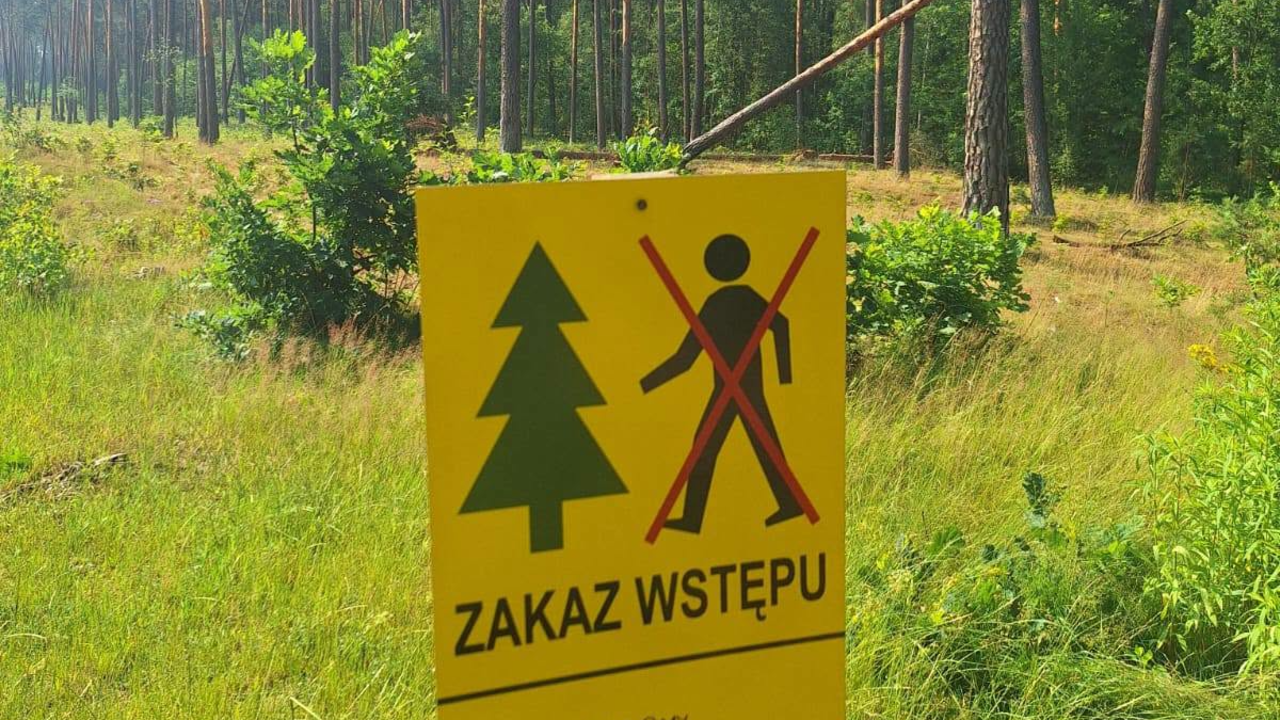 Po wichurach obowiązuje zakaz wstępu do lasu 20