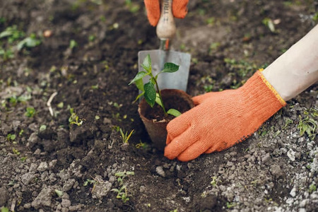 Podstawy programowe dla wybranych zawodów. Nowe rozporządzenie