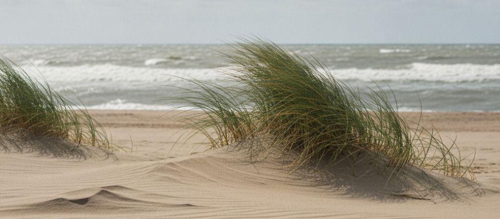 POGODA Zmiana pogody w Międzyzdrojach. Słońce będzie, ale najpierw uderzy silny wiatr. Kiedy na plażę?