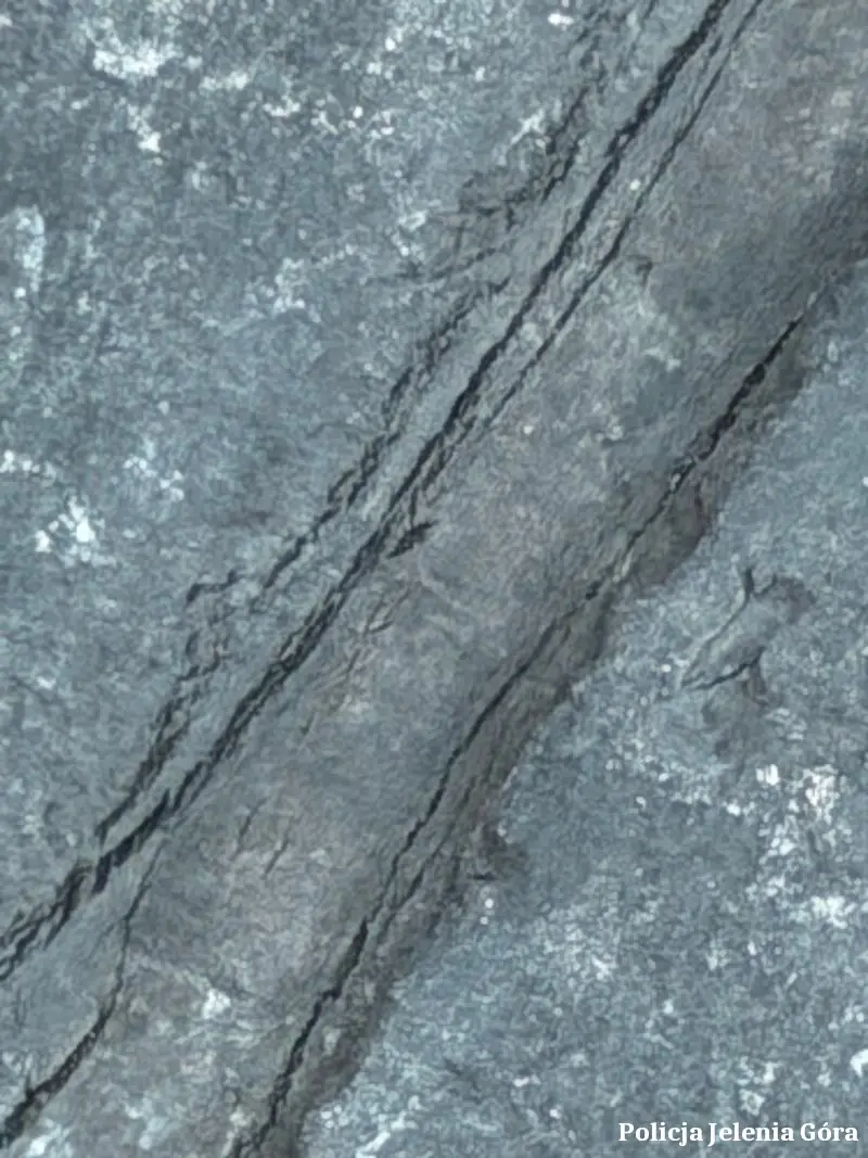 Pojazd do nauki jazdy usunięty z ruchu przez policję w Jeleniej Górze