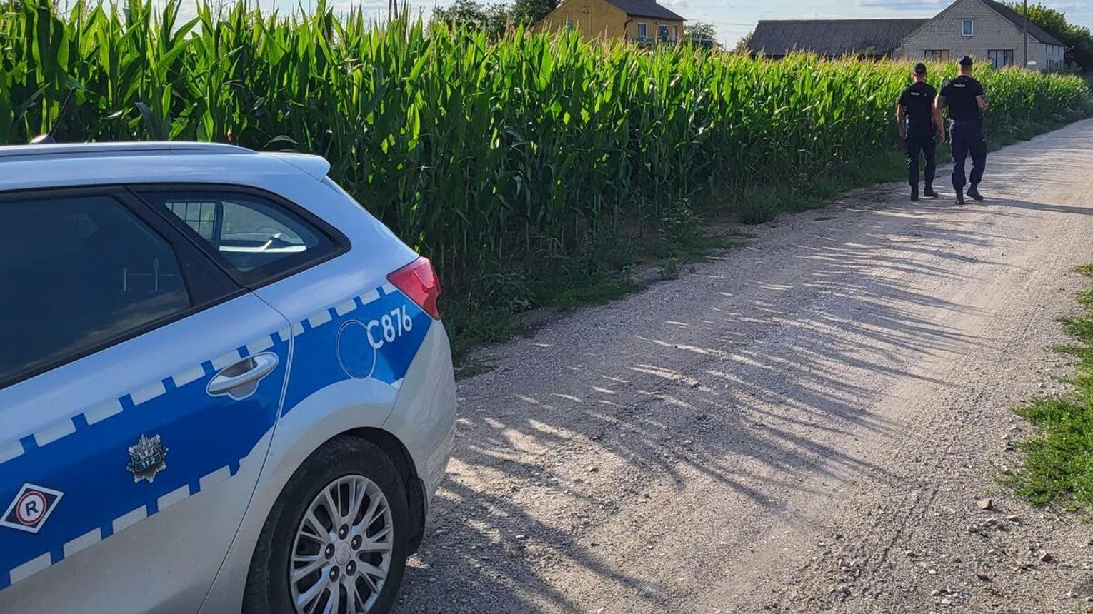 Policja ostrzega przed „złotymi kolbami”. Celowe pułapki na polach mogą zniszczyć maszyny