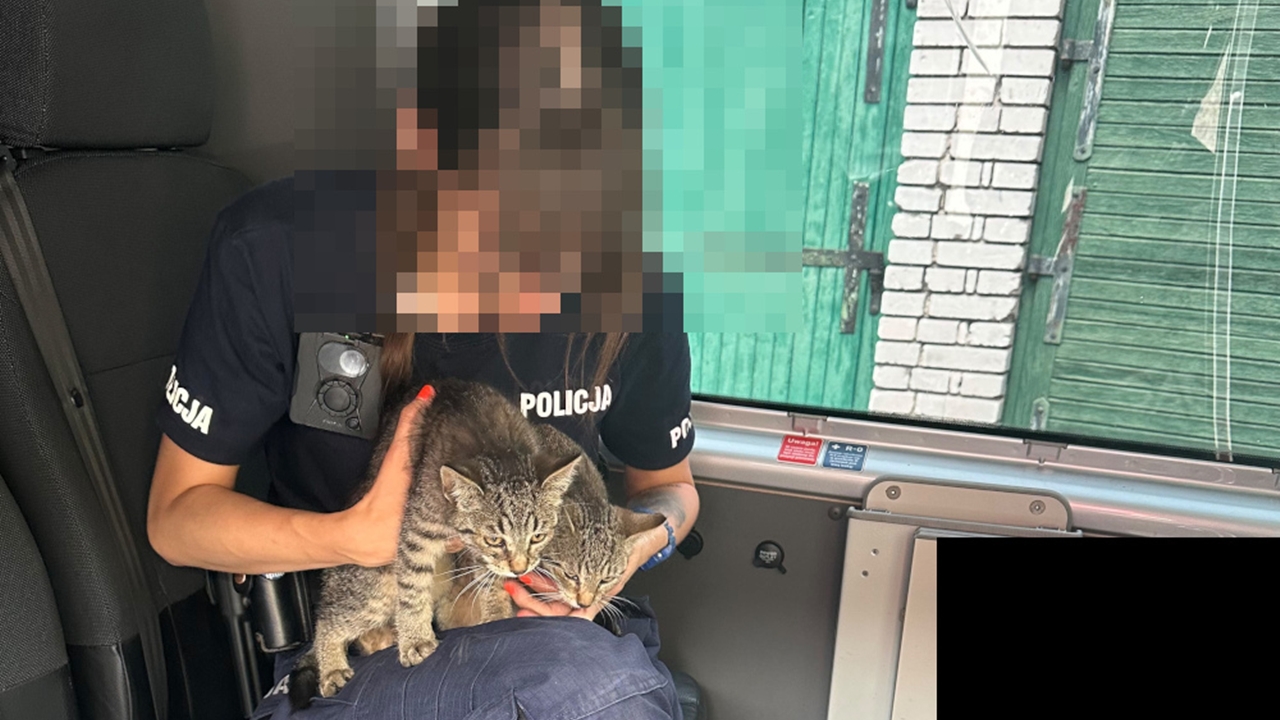 Policyjna interwencja w trosce o najmniejszych. Policjanci i strażacy uratowali dwa młode kocięta