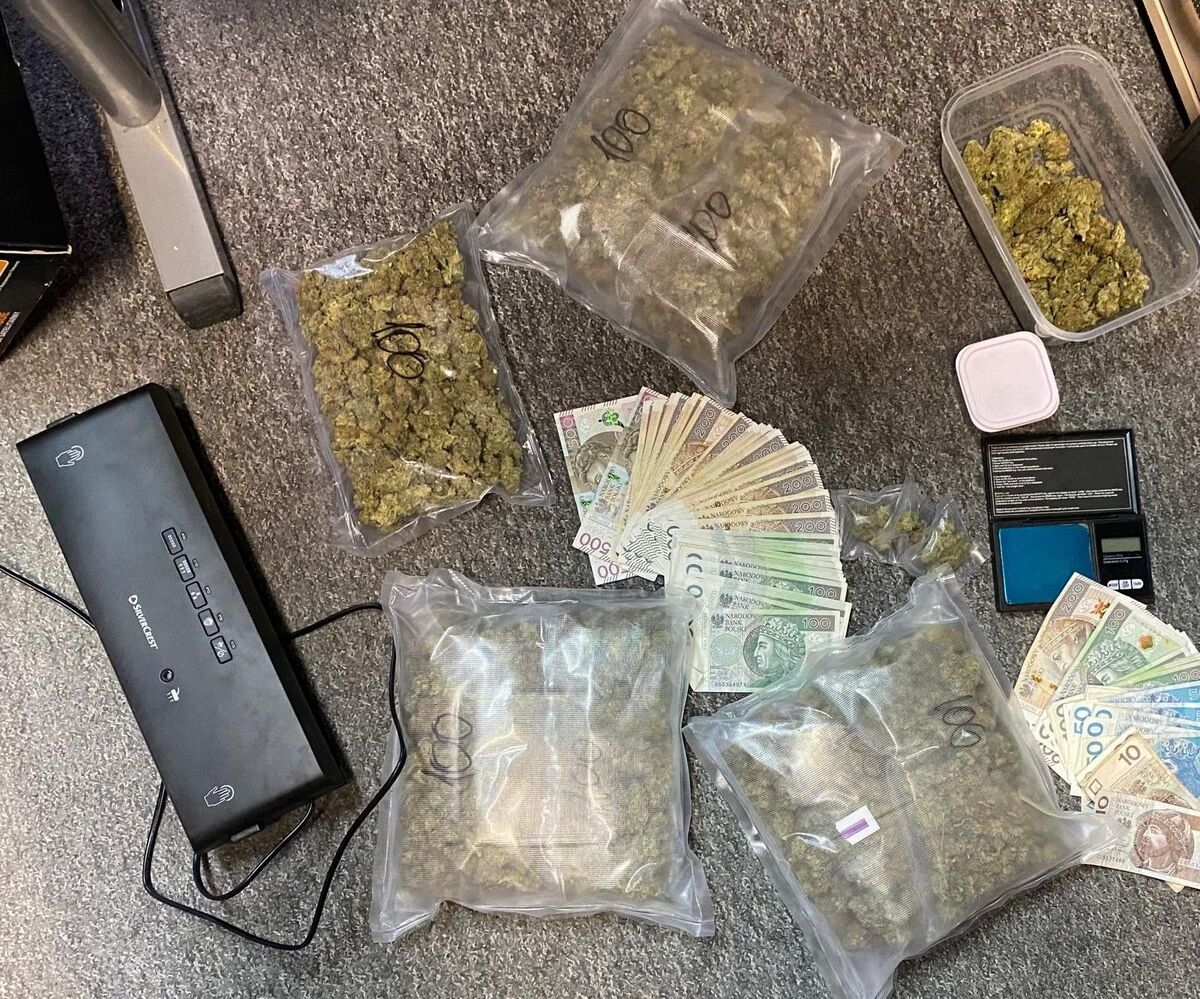 Ponad 750 gramów marihuany w mieszkaniu 26-latka. Sąd zastosował areszt