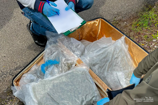 Ponad 8 kg marihuany przechwycone na granicy. Dwaj mieszkańcy Przemyśla z zarzutami