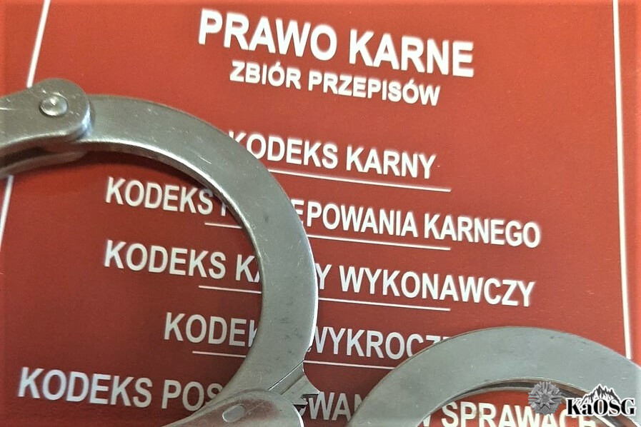 Poszukiwany Polak, zatrzymany po przylocie ze Szwecji