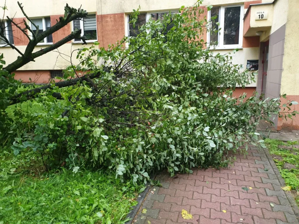 "Burza nad Krakowem"