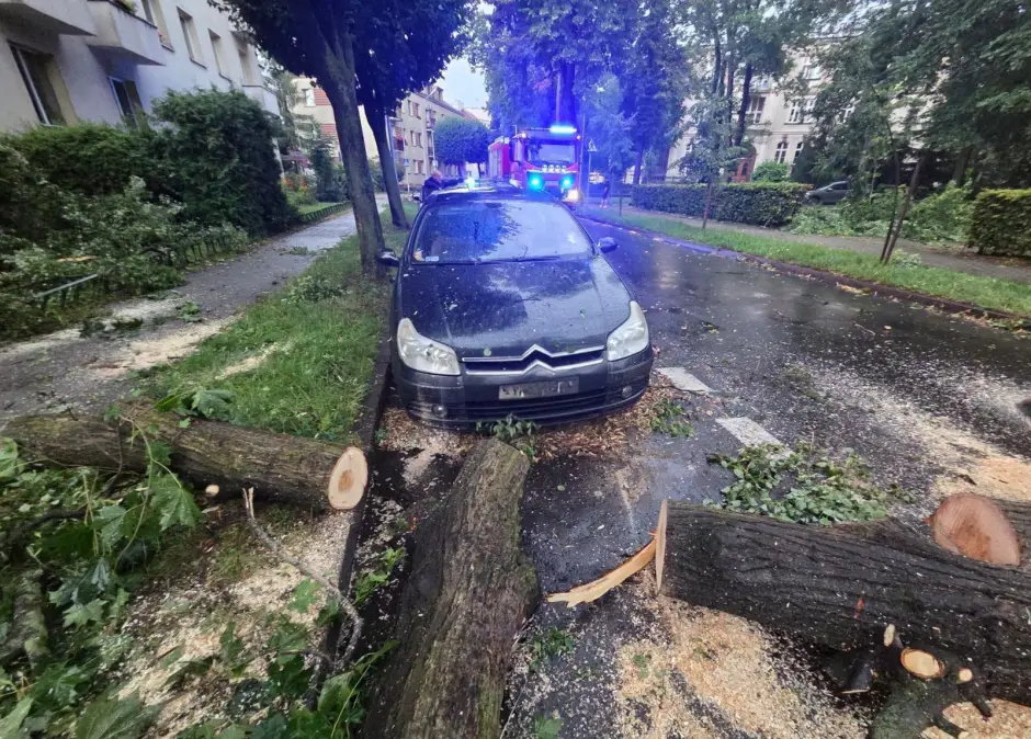 Powalone drzewa i zalane piwnice. Strażacy podsumowali skutki nawałnic w powiecie oleśnickim