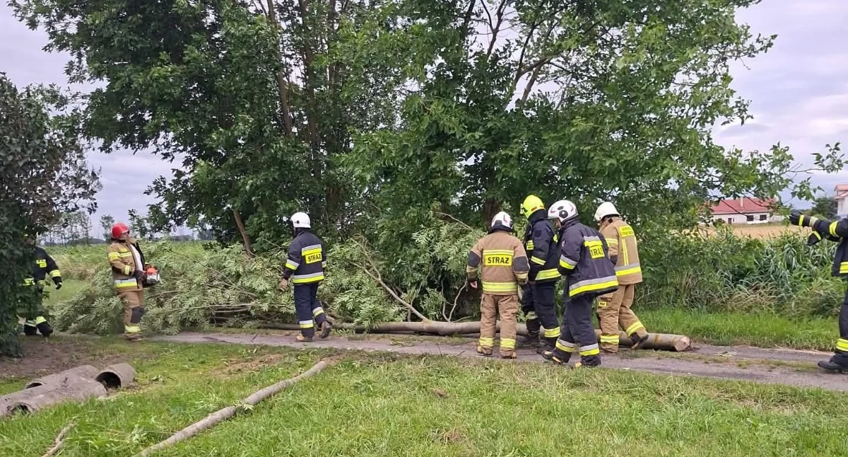 Powalone drzewo zablokowało drogę do posesji. Interweniowali strażacy z dwóch jednostek
