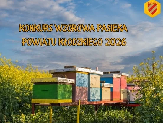 Powiat Kłodzki. Pszczelarze, czas pokazać swoje pasieki. Startuje konkurs