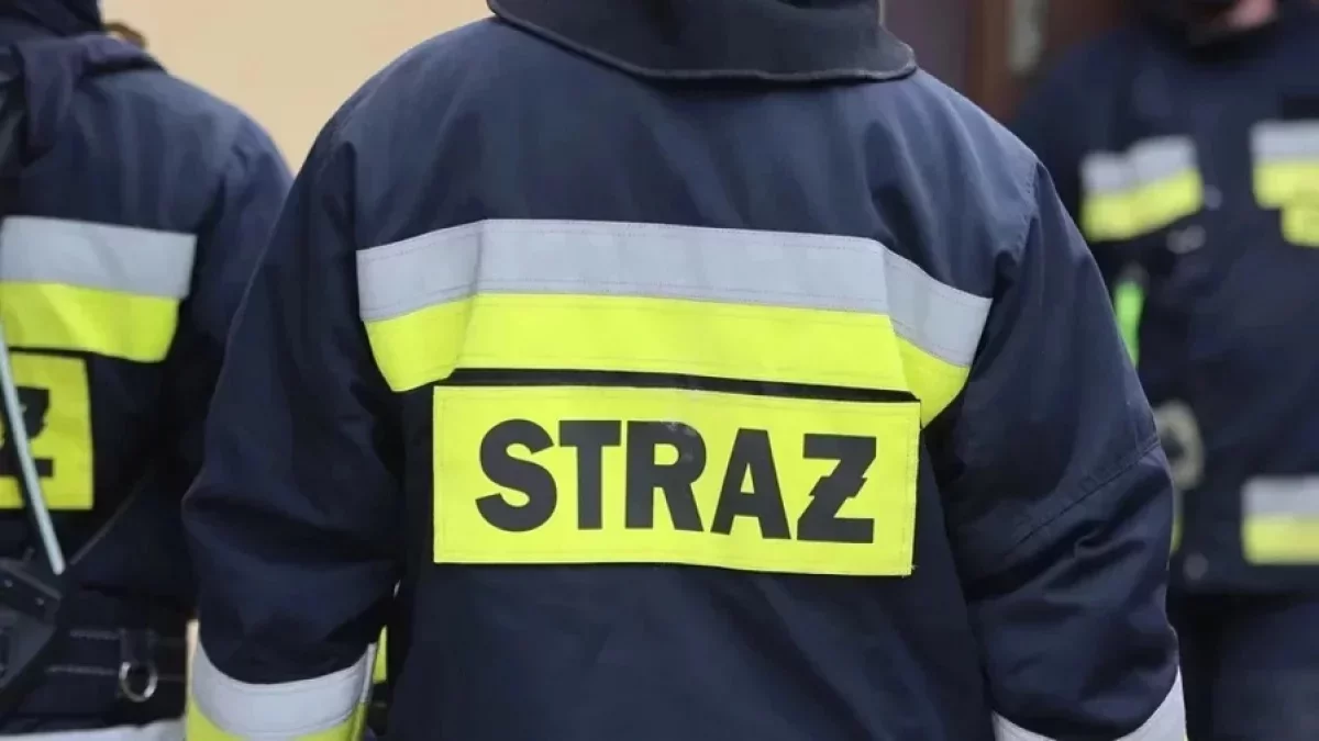 Pożar domu w Koźminie Wielkopolskim. Nie żyje jedna osoba