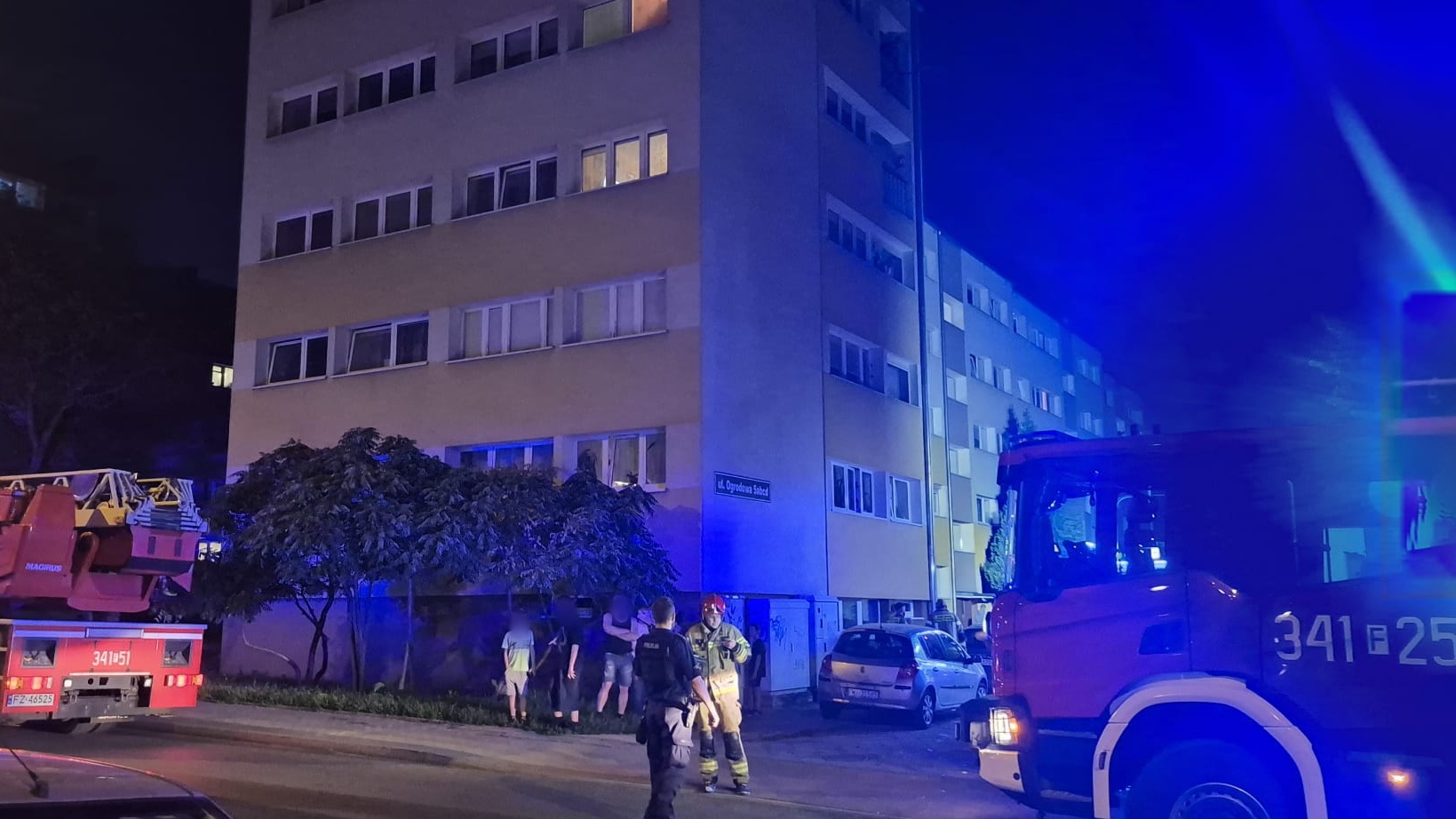 Pożar w Zielonej Górze. Ogień w mieszkaniu, strażacy wynieśli zwierzęta