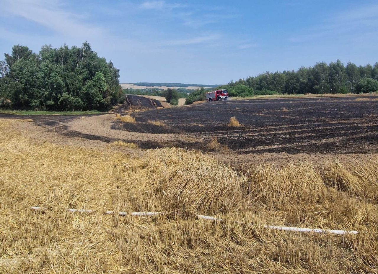Pożar zboża w Szorcówce. Strażak po służbie ruszył ciągnikiem i odciął drogę płomieniom