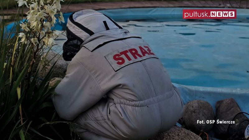 Pożary, pomoc medyczna i usuwanie zagrożeń. 12 interwencji strażaków z powiatu pułtuskiego w tydzień