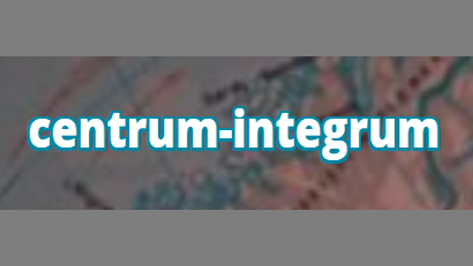 Pozycjonowanie SEO Centrum Integrum