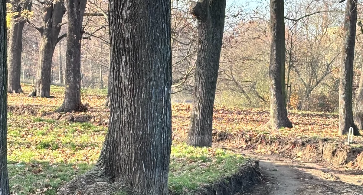 Pożyczą, żeby odzyskać pieniądze