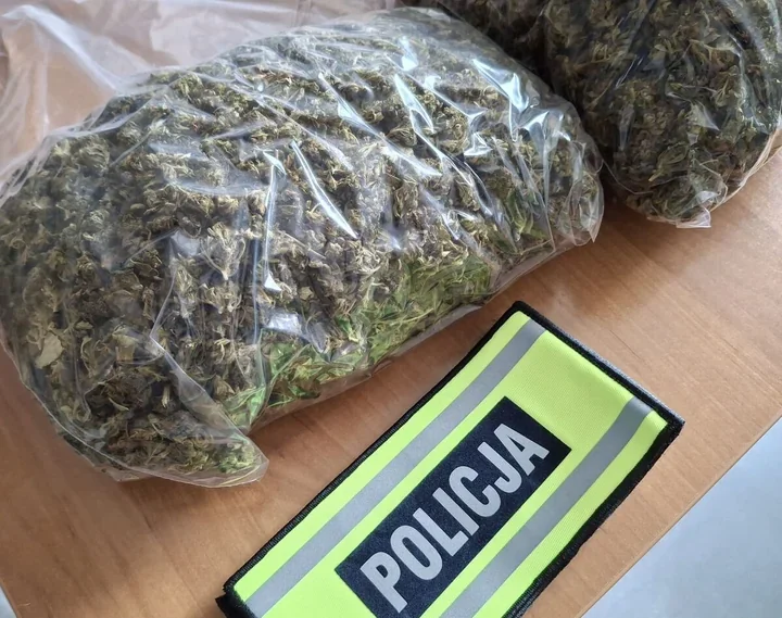 Prawie 1300 roślin i 4 kg marihuany. Plantacja działała w Rykach