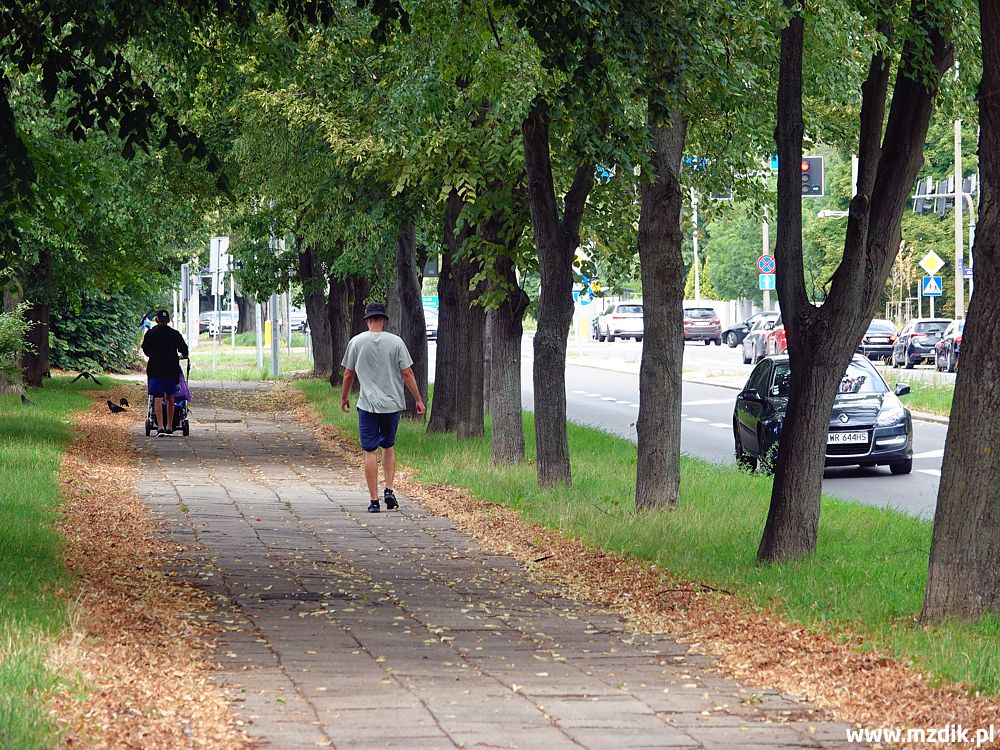 Prawie 15 mln zł dla Radomia. Powstaną nowe drogi rowerowe i parkingi Bike & Ride