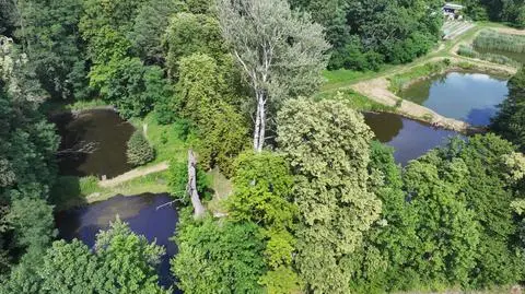 Chcą budować osiedle w pobliżu stawów. "Absurdalny pomysł"