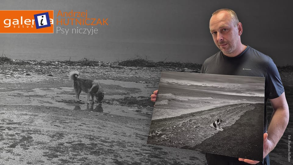 „Psy niczyje” w Andrychowie. Wyjątkowa wystawa fotografii Andrzeja Hutniczaka