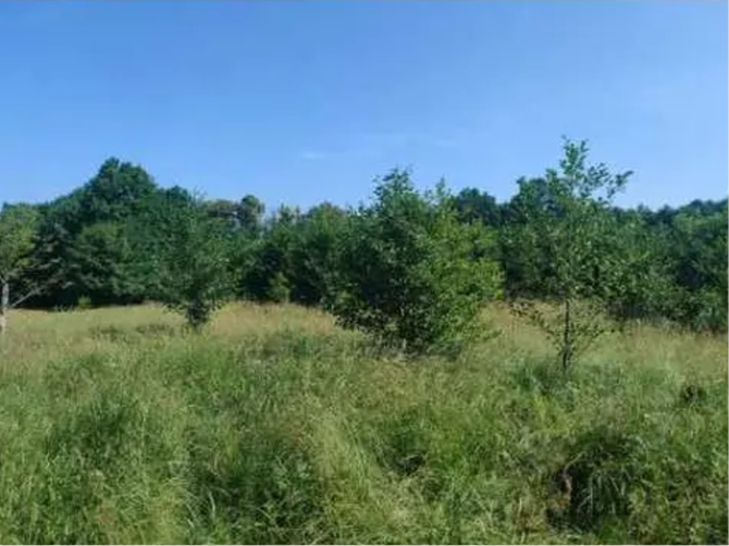 Radni pytają o Bulwary Straceńskie. Chcą wyjaśnień, dlaczego przez lata nie podjęto działań