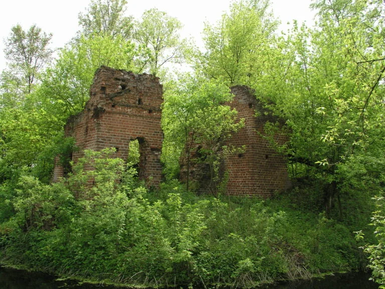 Read article: Archeolodzy UŁ badają ruiny renesansowego dworu w Mikorzycach