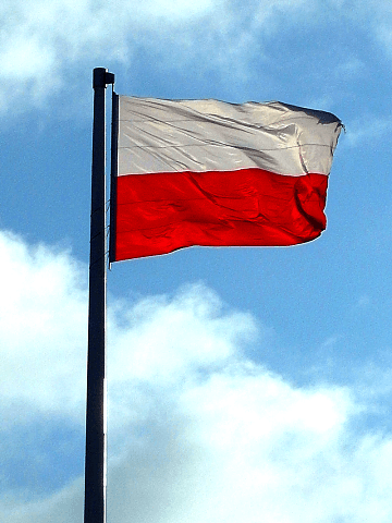 Read article: DZIEŃ FLAGI NARODOWEJ
